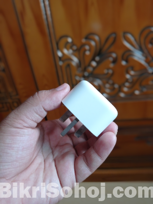 Apple Adapter (20W)